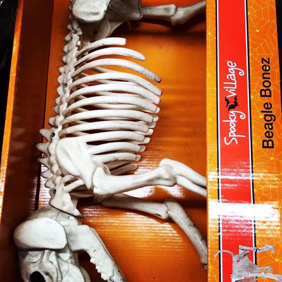 Wholesale Halloween Closeouts pallets - Image 7