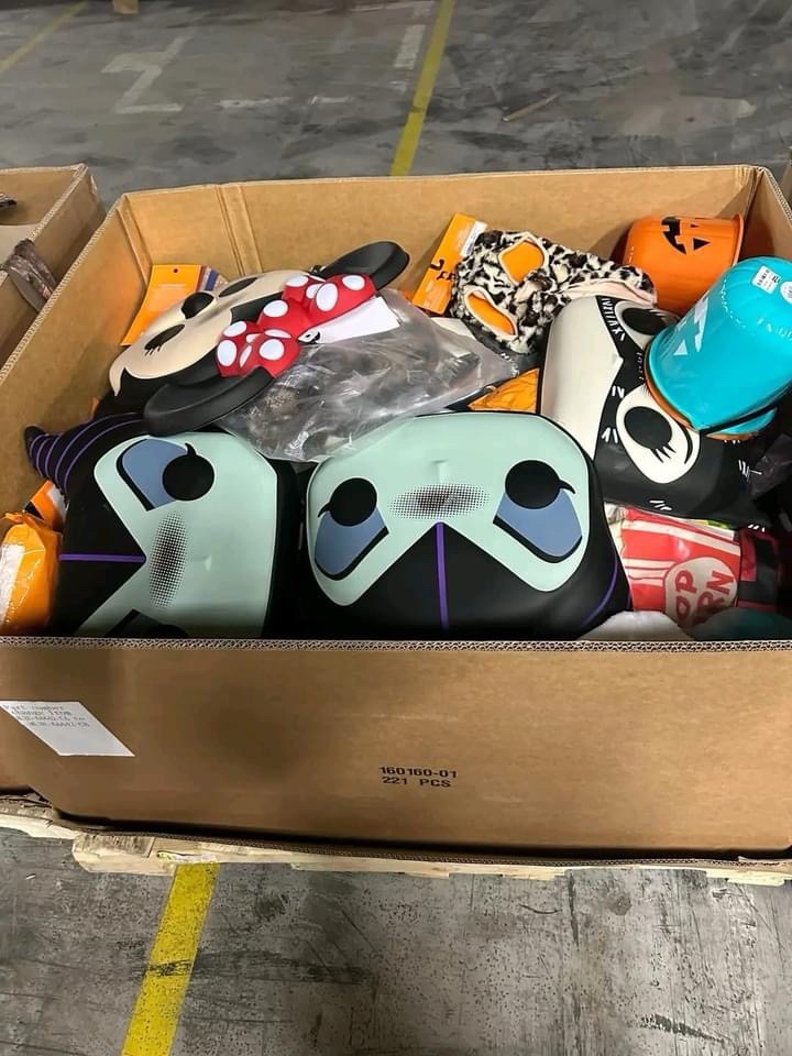 Wholesale Halloween Closeouts pallets - Image 8