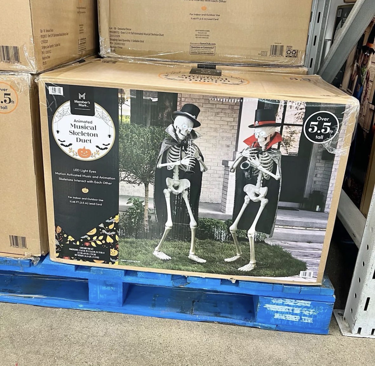 Wholesale Halloween Closeouts pallets - Image 9