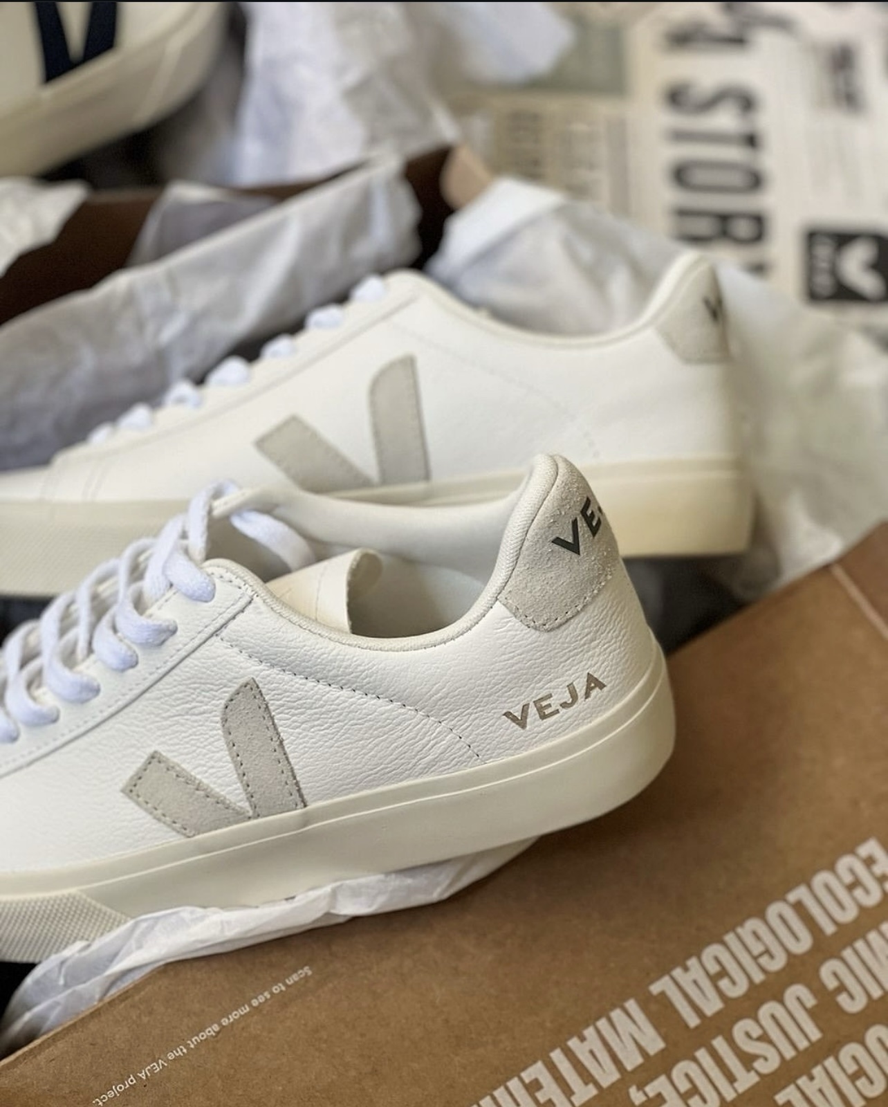 Veja shoe pallets - Image 5